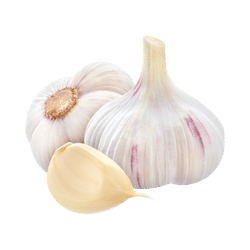 Knoflook